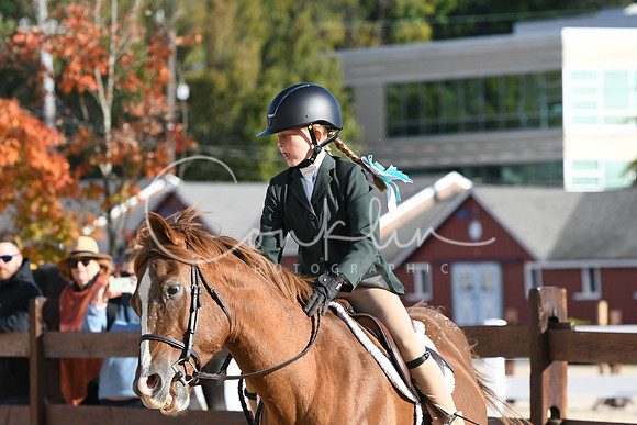 HSM_7399