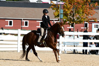 HSM_7462