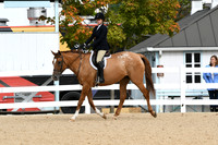 HSM_5023