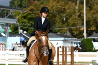 HSM_5024