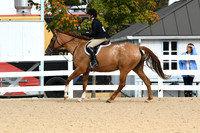 HSM_5027