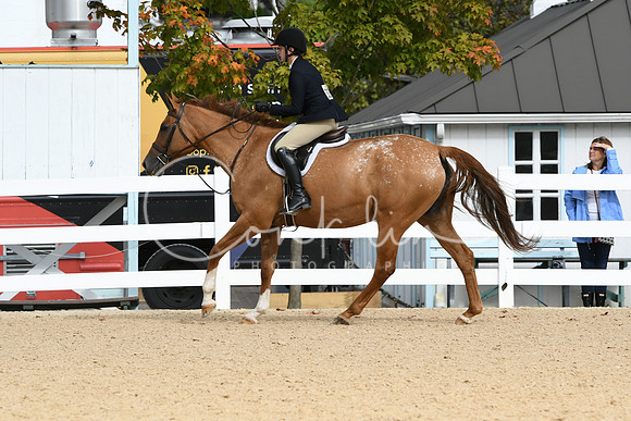 HSM_5027