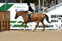 HSM_5028