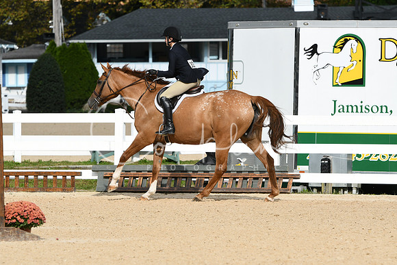 HSM_5029
