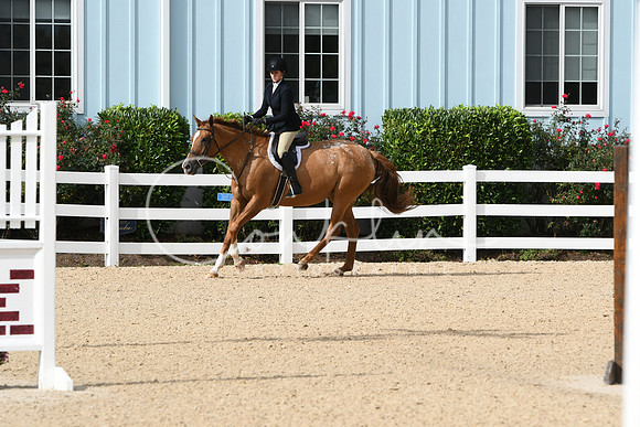 HSM_5031