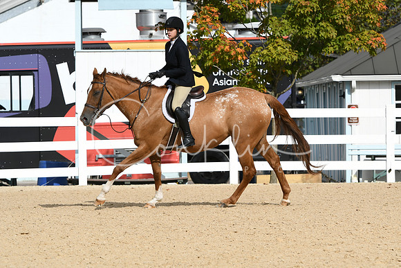 HSM_5036
