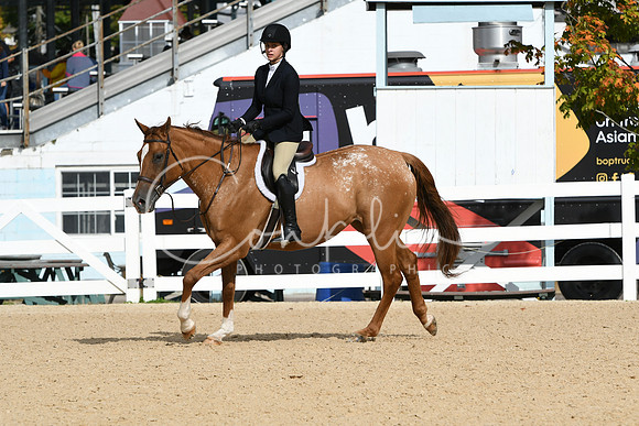 HSM_5037