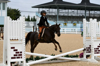 HSM_4536