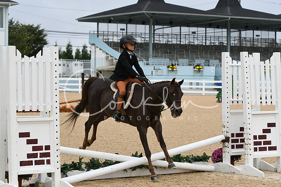 HSM_4537