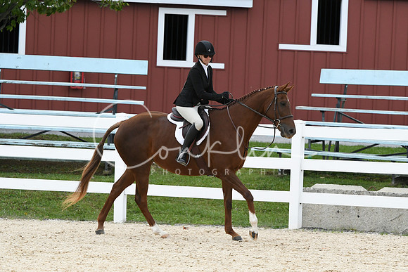 HSM_8176