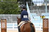 HSM_9305