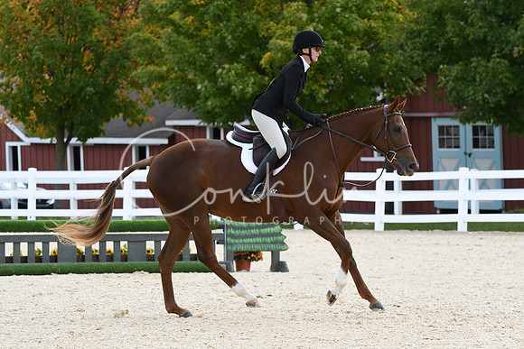 HSM_8260