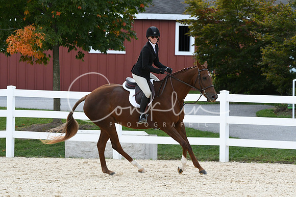 HSM_8261