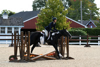 HSM_7293