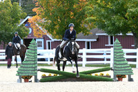 HSM_7297