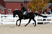 HSM_7841