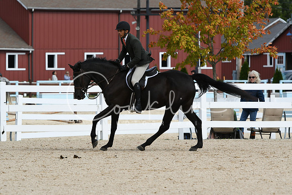 HSM_7841