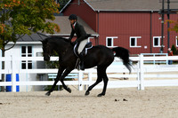 HSM_7842
