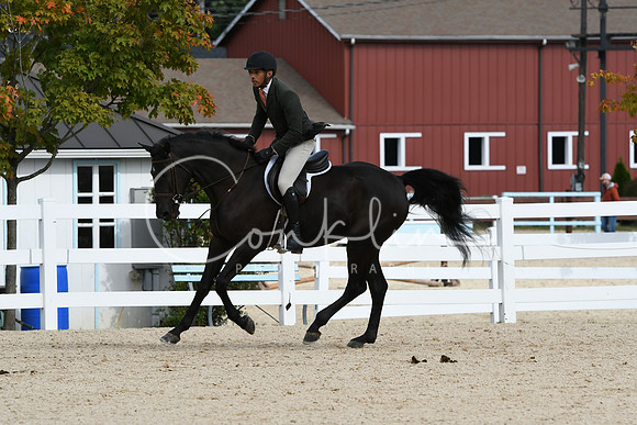 HSM_7842