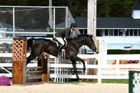 HSM_7847