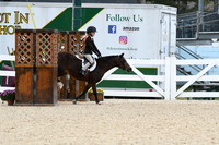 HSM_5332