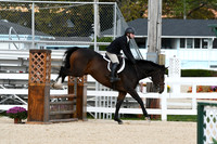 HSM_7801