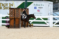 HSM_5331