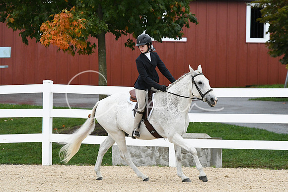 HSM_6417