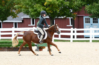 HSM_6437
