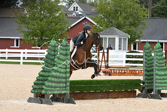 HSM_6519