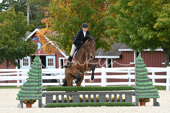 HSM_8351