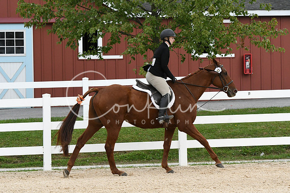 HSM_9418