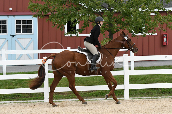 HSM_9417