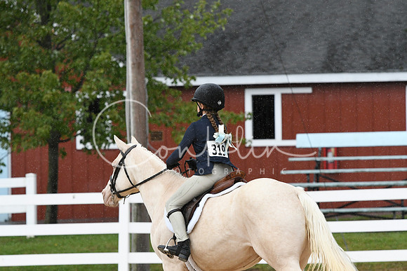 HSM_6358
