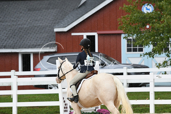 HSM_6359