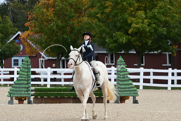 HSM_6717