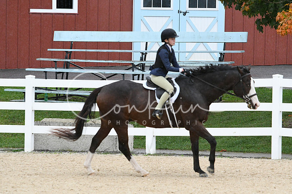 HSM_6270
