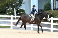 HSM_6271