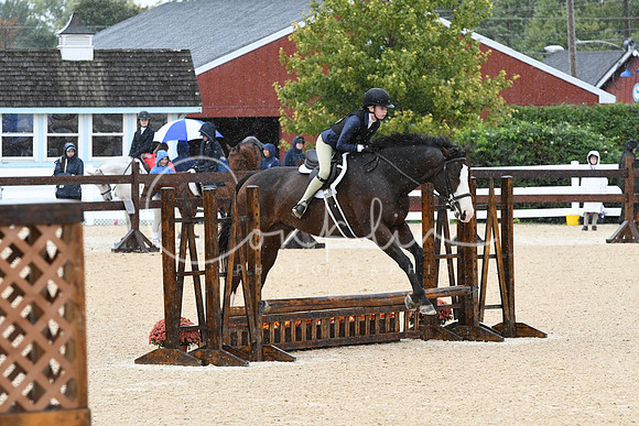 HSM_6274