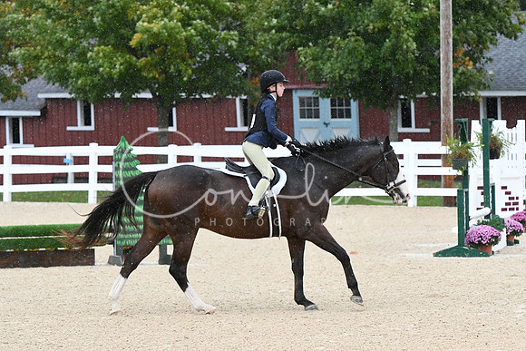 HSM_6275