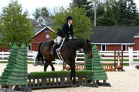 HSM_8293