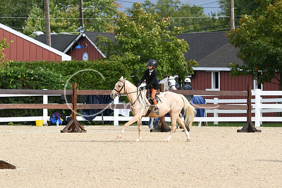 HSM_6641
