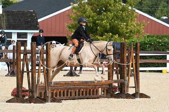 HSM_6635