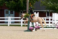 HSM_6678