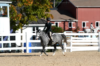 HSM_7364