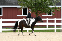 HSM_5351