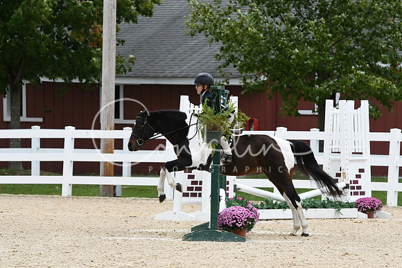 HSM_5838