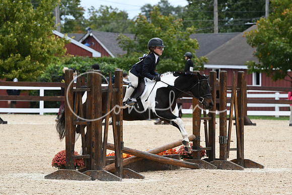 HSM_5845
