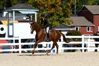 HSM_7951