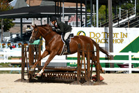 HSM_7953